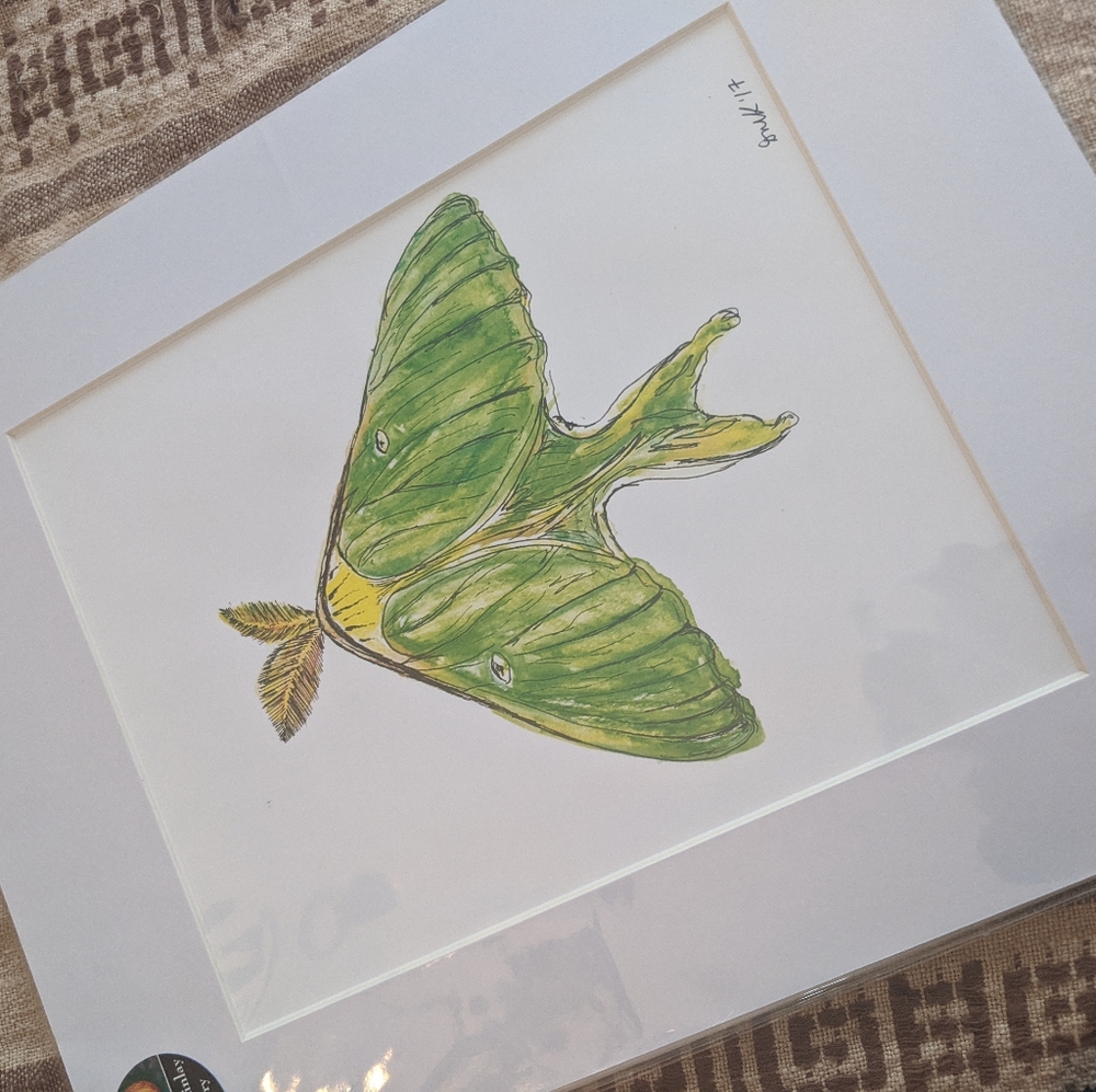 Luna moth print